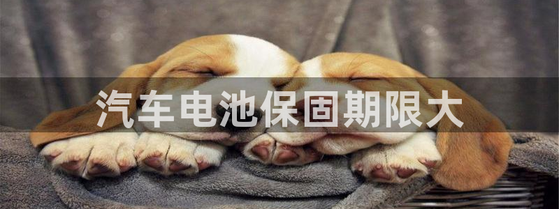 优发国际手机版下载官网