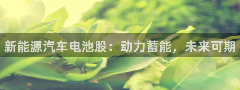 优发国际注册17
