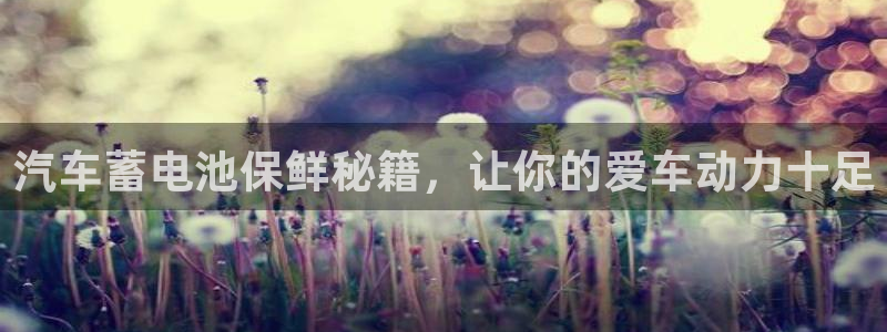 优发国际手机客户端下载