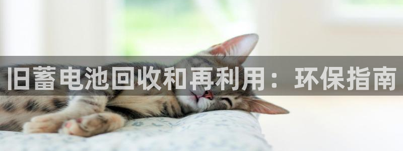 优发国际官方网手机版app