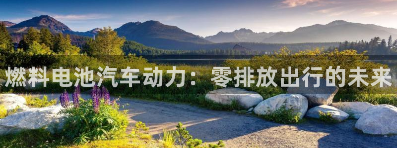 优发国际平台网站