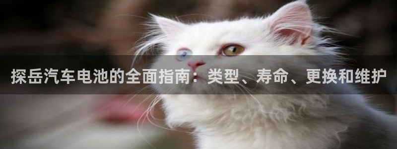 优发国际官网值是多少