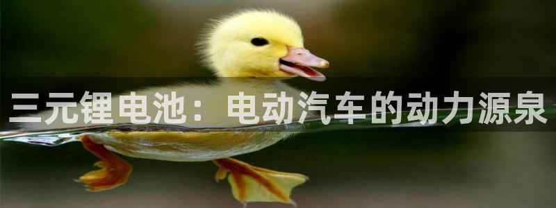 优发国际网官网17k8