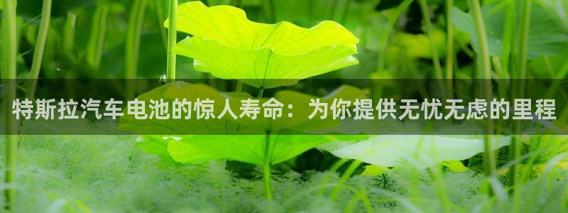 优发国际平台