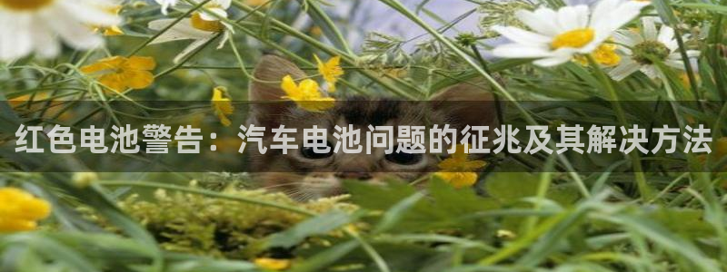 优发国际平台手机版下载官网