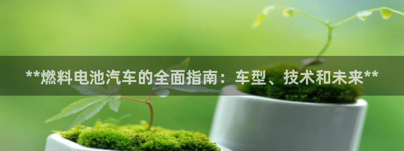 优发国际官网qy88