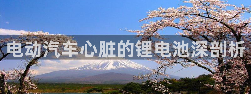 优发国际客服联系方式