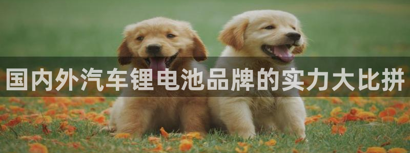 优发国际VIP网址