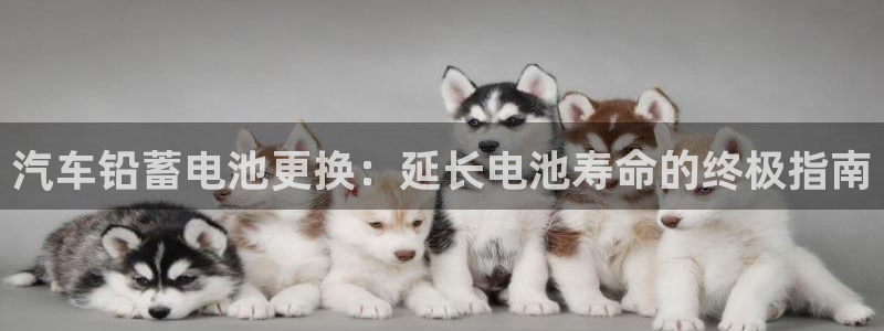 优发国际手机客户端下载官网