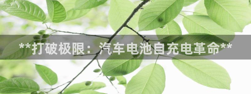 优发国际的官网是