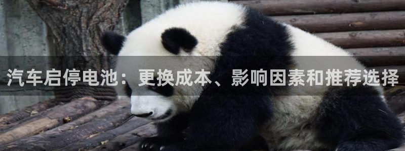 优发国际网页