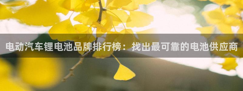 优发国际网官网17o8