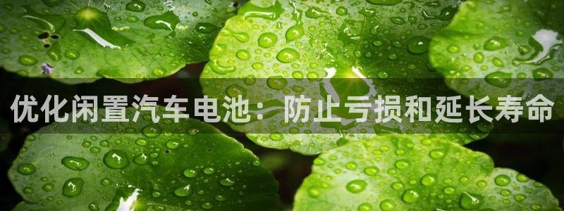 优发国际集团股份有限公司招聘
