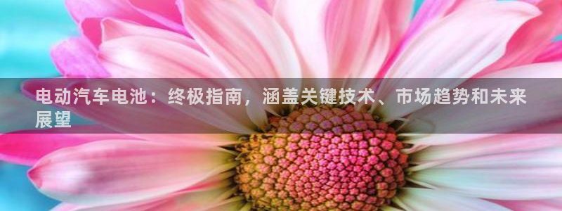 优发国际 干什么的