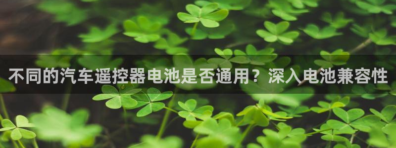 优发国际网官网17k8