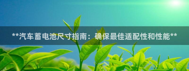 优发国际手机版网站官网