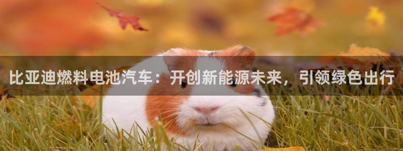 优发国际下载安装