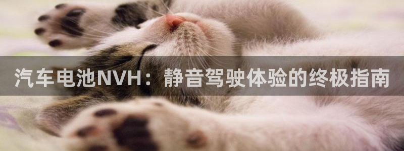 优发国际官方网