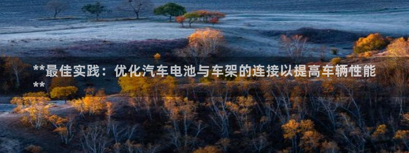 优发国际客服联系方式是什么