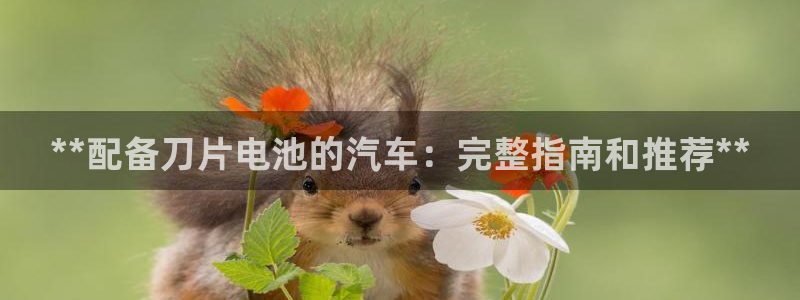 优发国际手机版客户端