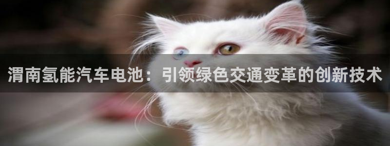 优发国际网站官网