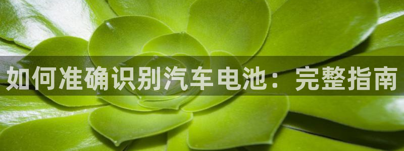 优发国际平台