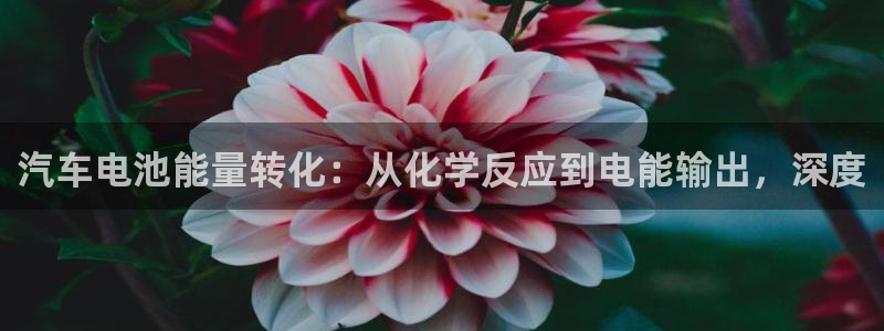 优发国际官网网站