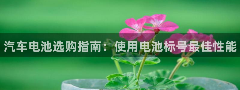 优发国际官网网站首页