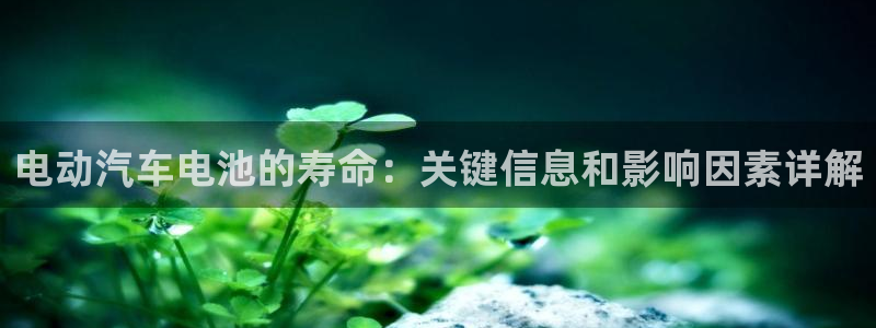优发国际游戏17岁能玩吗