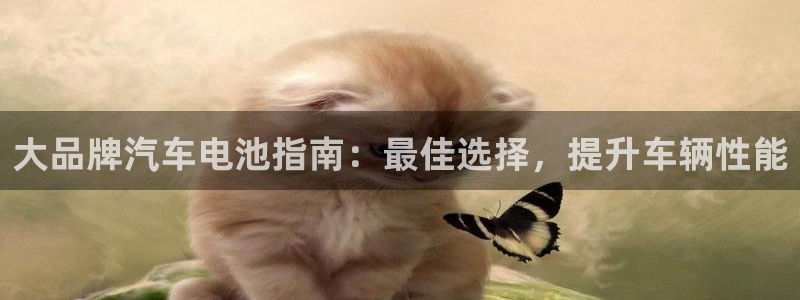 优发国际官网
