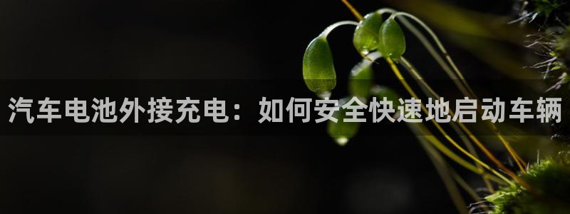 优发国际官方网平台