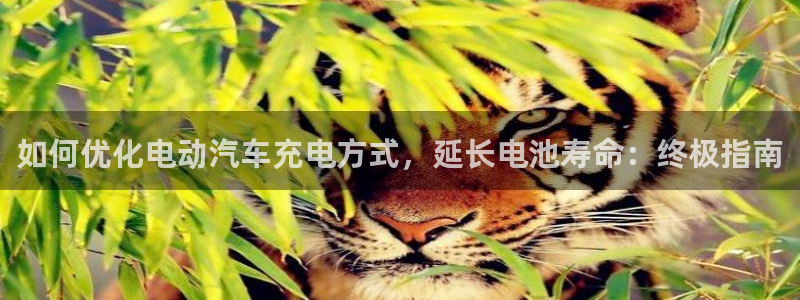 优发国际平台app下载官网