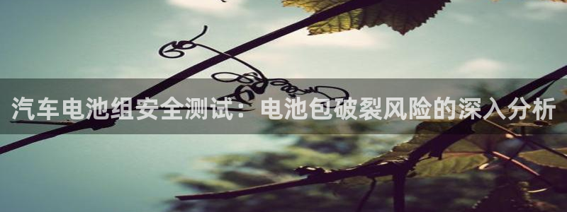 优发国际集团股份有限公司官网