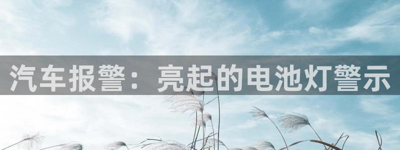 优发娱乐国际线上
