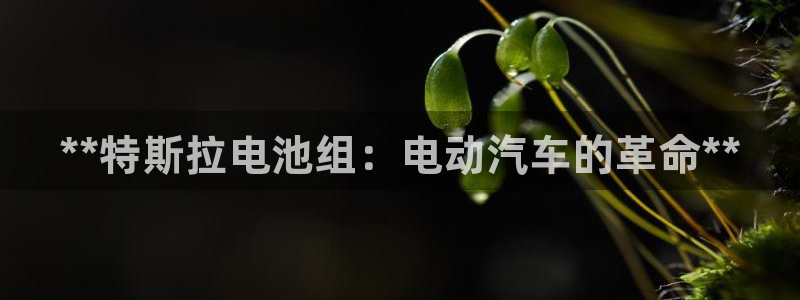 优发国际的官网是什么