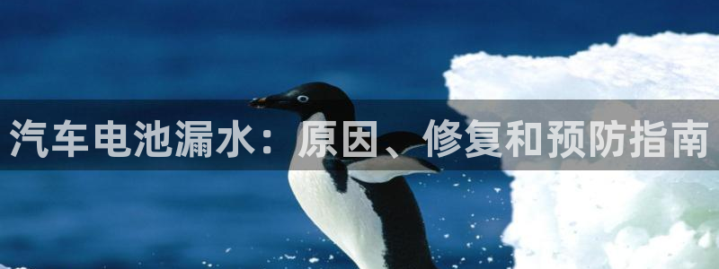 优发国际官网下载app