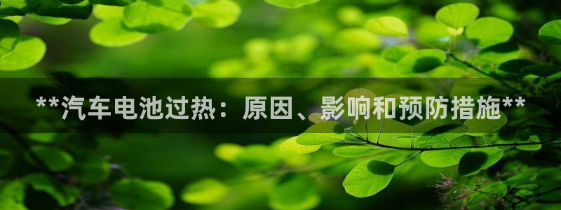 优发国际官网手机版代理