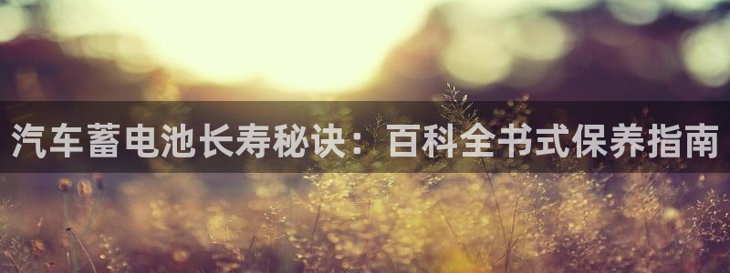 优发国际官网手机版app