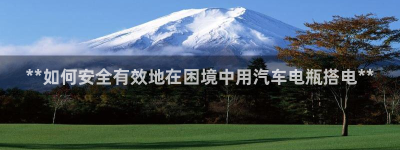 优发国际合并到哪里了啊