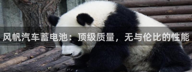 优发国际亚洲平台