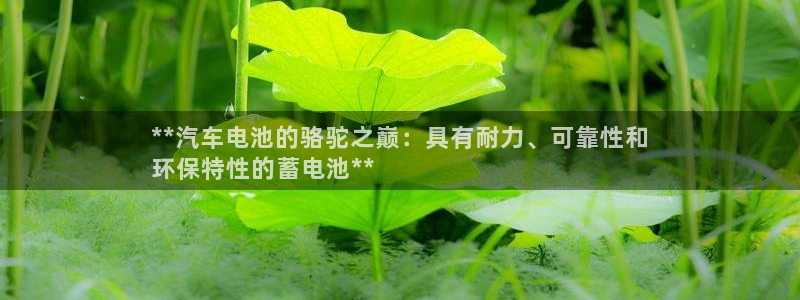 优发国际不出款了吗