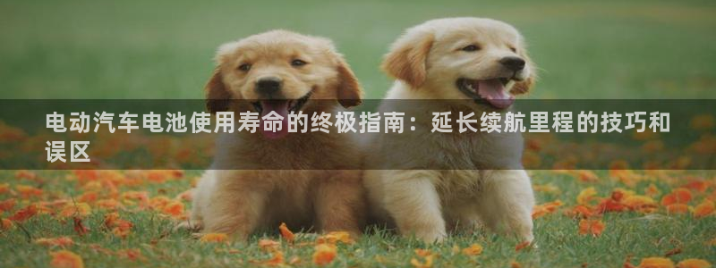 优发国际官网入口app下载