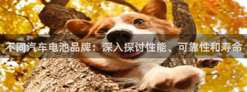 优发国际这个平台怎么样知乎