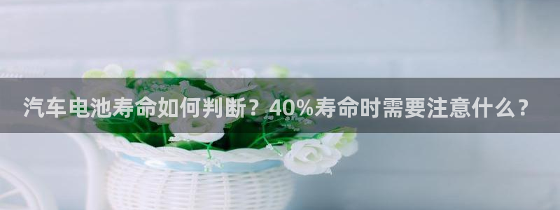 优发国际集团股份有限公司招聘