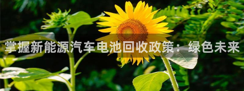 优发国际手机app下载安装官网