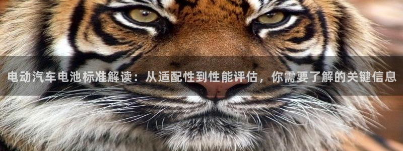 优发国际在哪里下载