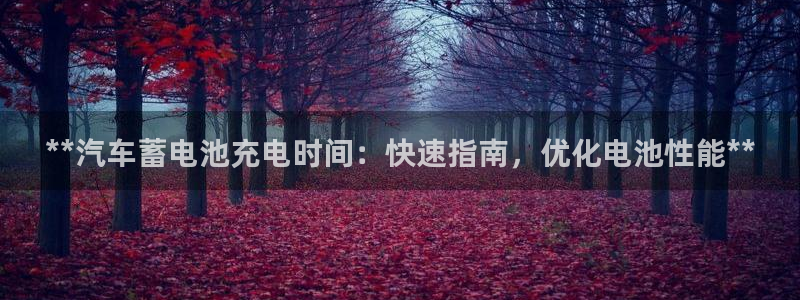 优发国际官方网平台电话