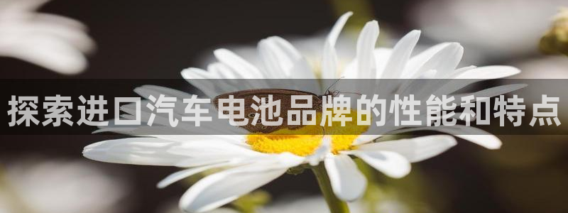 优发国际游戏17岁能玩吗