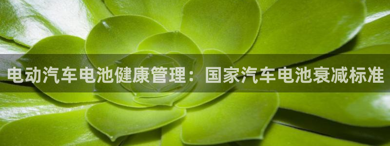优发国际是什么