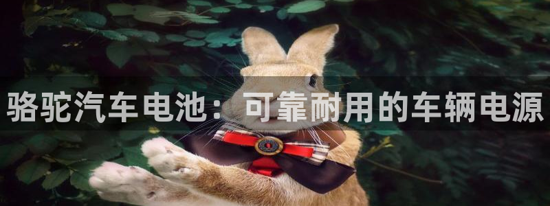 优发国际软件下载官网